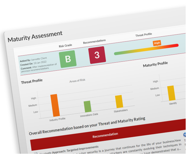 Maturity Assessment